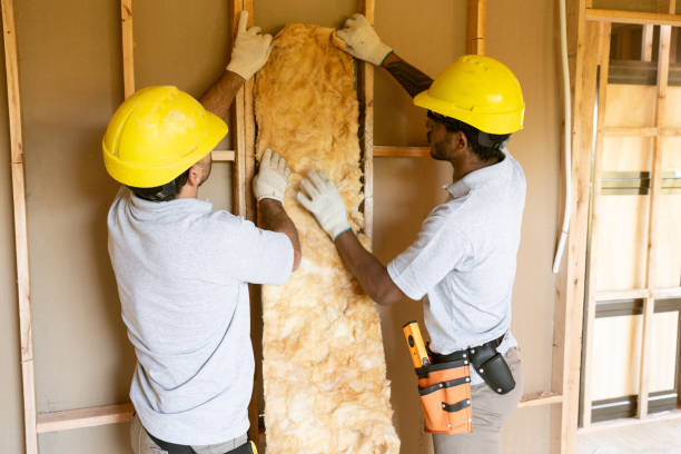 Eco-Friendly or Green Insulation Solutions in Kingston, PA